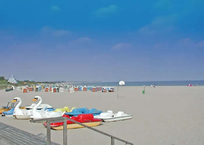 Blockhaus Mit Wintergarten In Strandnaehe Damp